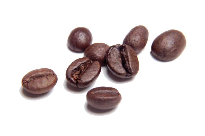 Java Logo